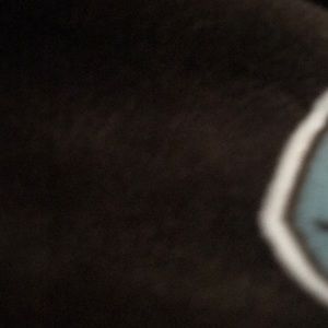 Meet your Posher, Destiny